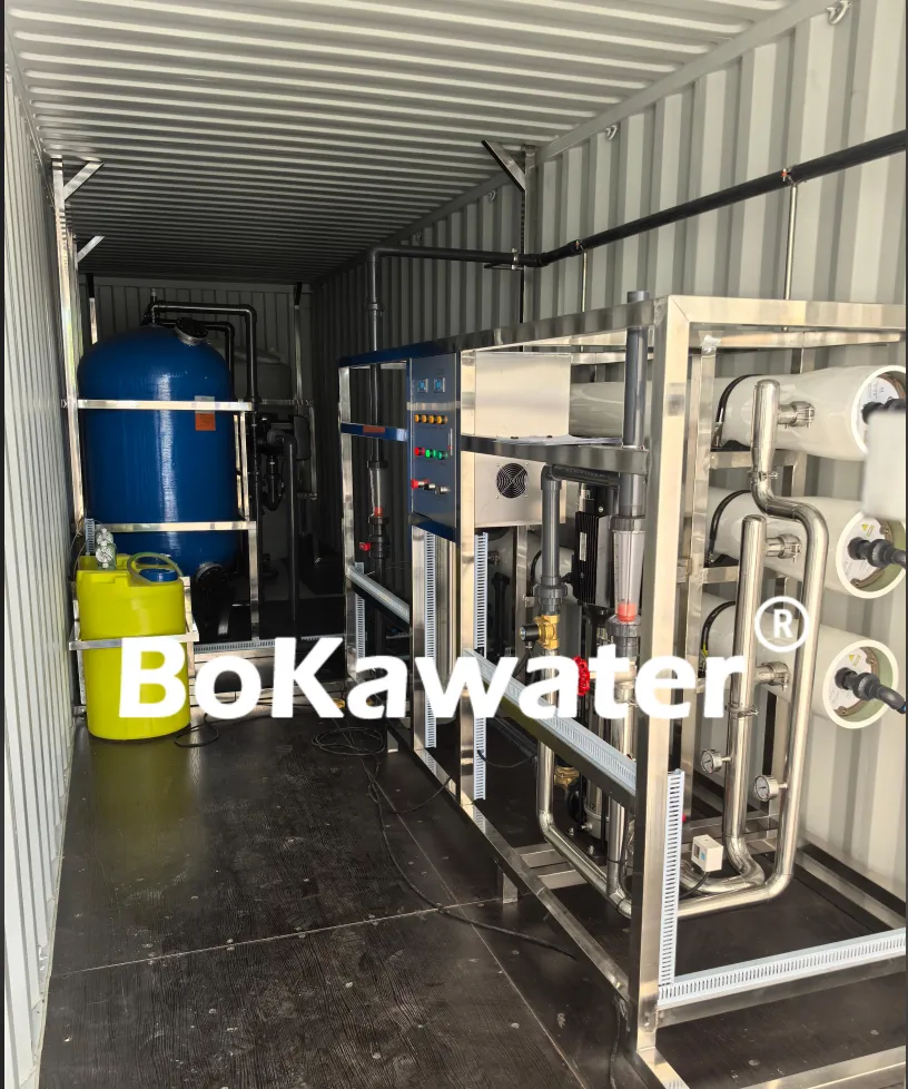 OEM 6000 LPH Container RO system